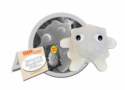 Giant Microbes White Blood Cell Leukocyte - Guzzgoggs