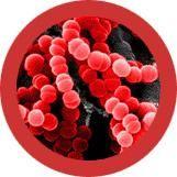 Giantmicrobes Original Sore Throat (Streptococcus) Plush Educational Toy - Guzzgoggs