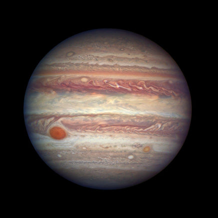 Jupiter Buddy - Guzzgoggs