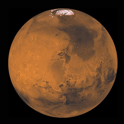 Mars Buddy - Guzzgoggs