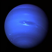 Neptune Buddy - Guzzgoggs