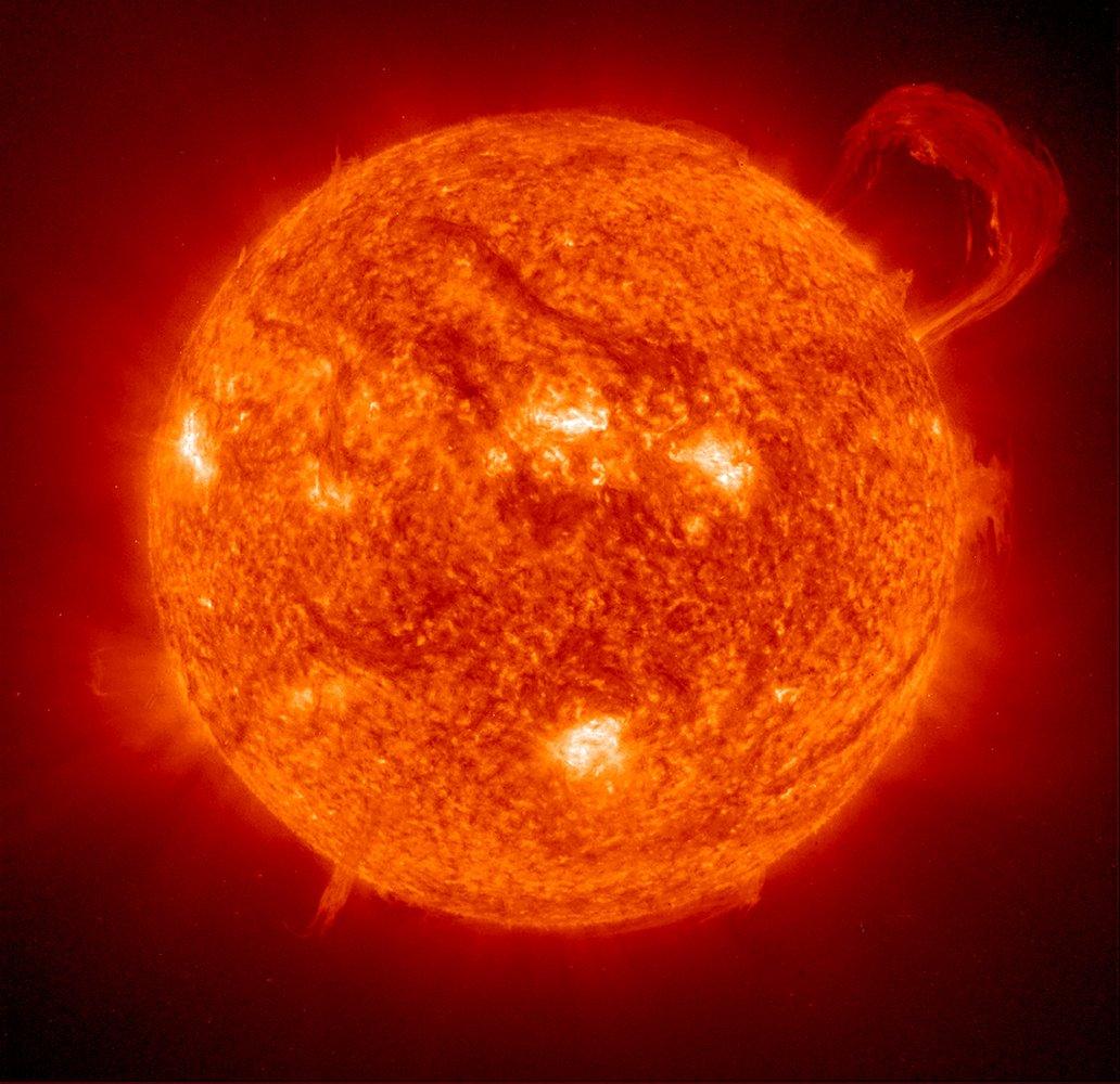 Sun Buddy - Guzzgoggs